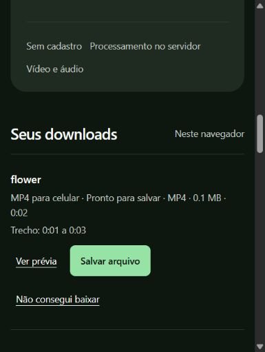 3. Confira a prévia e salve